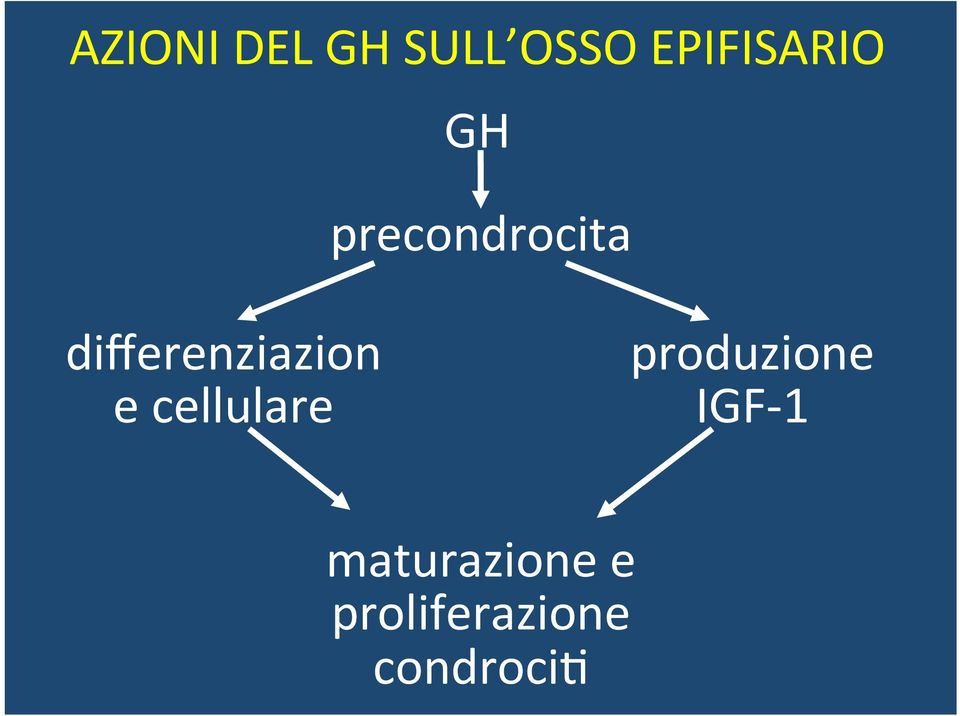 differenziazion e cellulare