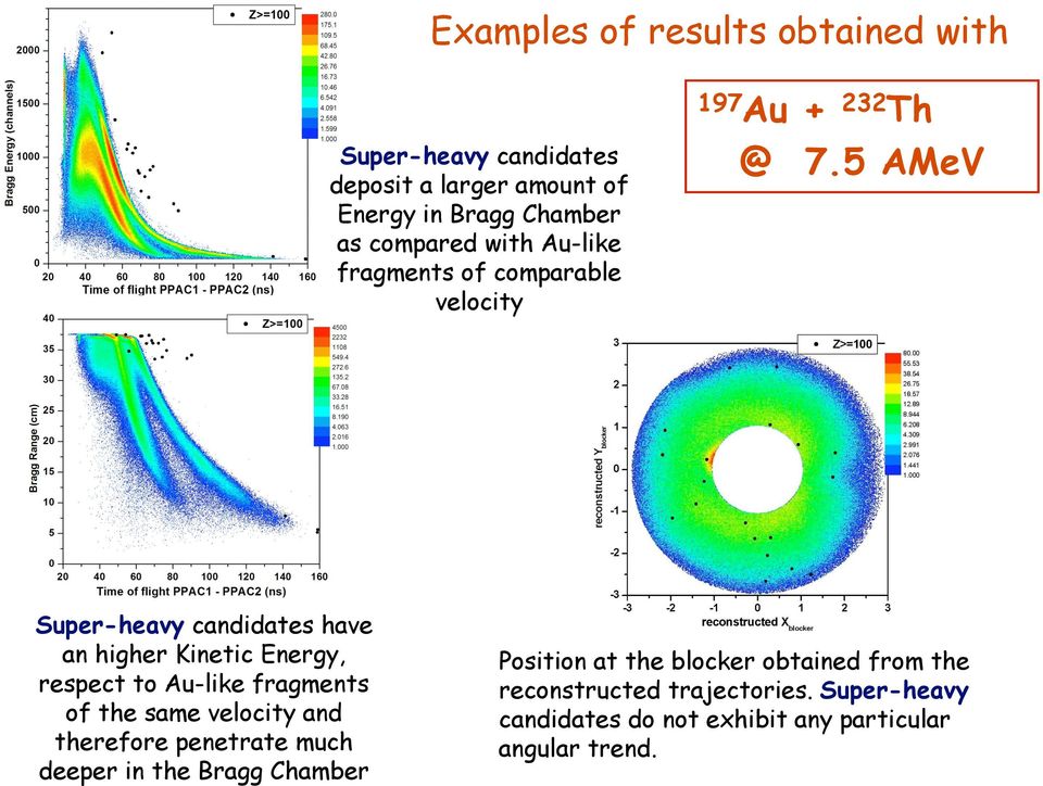 5 AMeV Super-heavy candidates have an higher Kinetic Energy, respect to Au-like fragments of the same velocity and