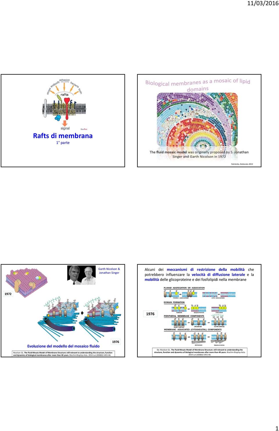 The Fluid Mosaic Model of Membrane Structure: still relevant to understanding the structure, function and dynamics of biological membranes after more than 40 years. Biochim Biophys Acta.