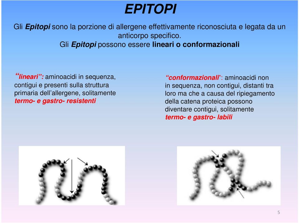 primaria dell allergene, solitamente termo- e gastro- resistenti conformazionali : aminoacidi non in sequenza, non contigui,