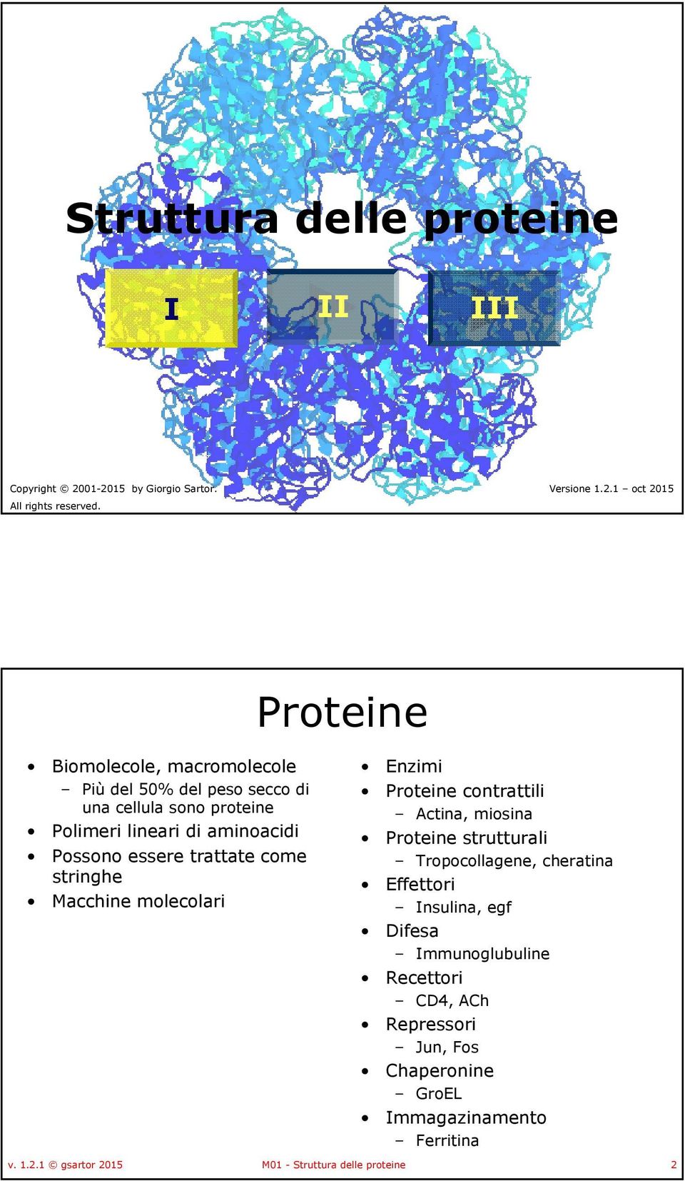 cellula sono proteine Polimeri lineari di aminoacidi Possono essere trattate come stringhe Macchine molecolari Enzimi Proteine contrattili