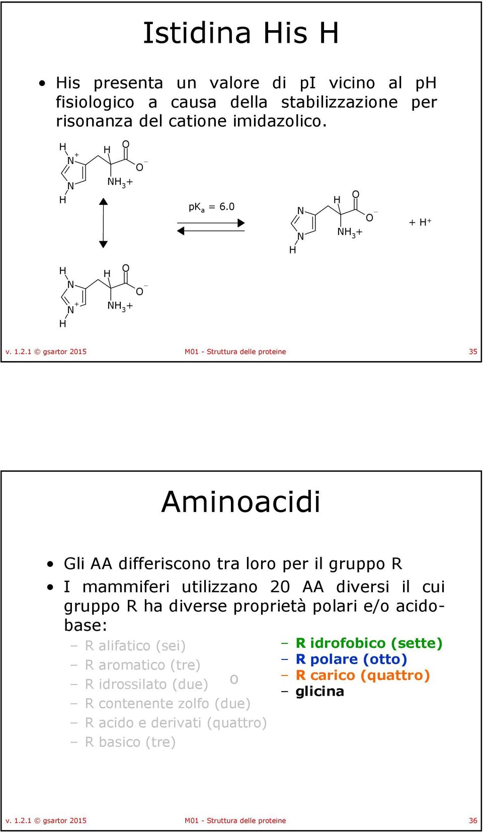 1 gsartor 2015 M01 - Struttura delle proteine 35 Aminoacidi Gli AA differiscono tra loro per il gruppo R I mammiferi utilizzano 20 AA diversi il cui