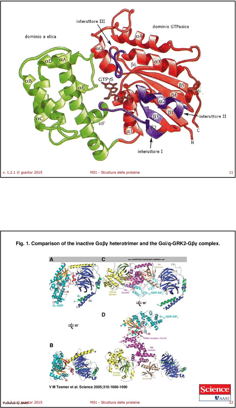 Gαi/q-GRK2-Gβγ complex. V M Tesmer et al.