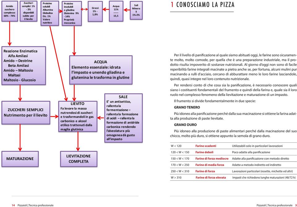 Reazione'Enzimatica' Alfa'Amilasi Amido' Destrine Beta'Amilasi Amido' Maltosio Maltasi Maltosio'N Glucosio ZUCCHERI'SEMPLICI Nutrimento'per'il'lievito MATURAZIONE ACQUA Elemento'essenziale:'idrata' l