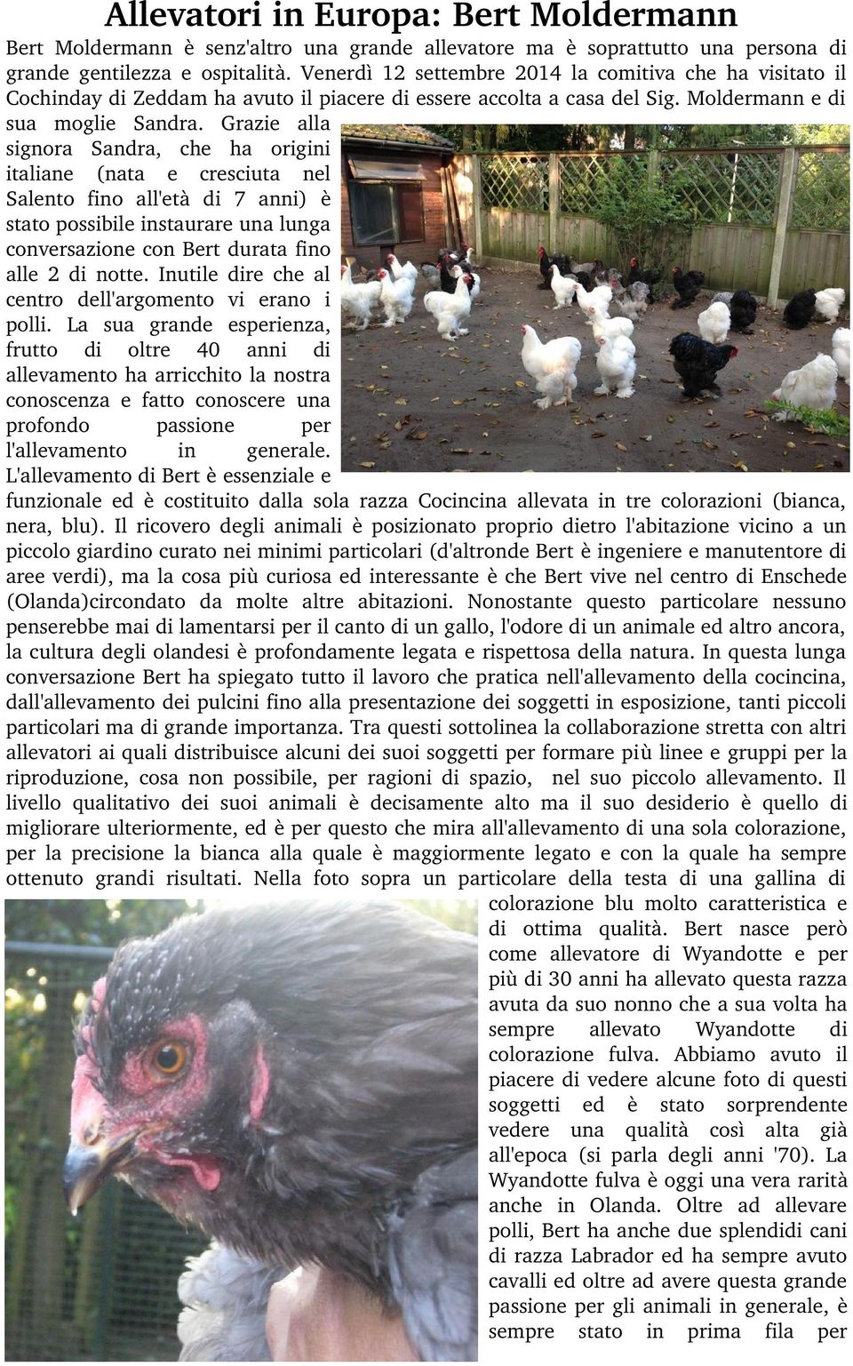 Grazie alla signora Sandra, che ha origini italiane (nata e cresciuta nel Salento fino all'età di 7 anni) è stato possibile instaurare una lunga conversazione con Bert durata fino alle 2 di notte.