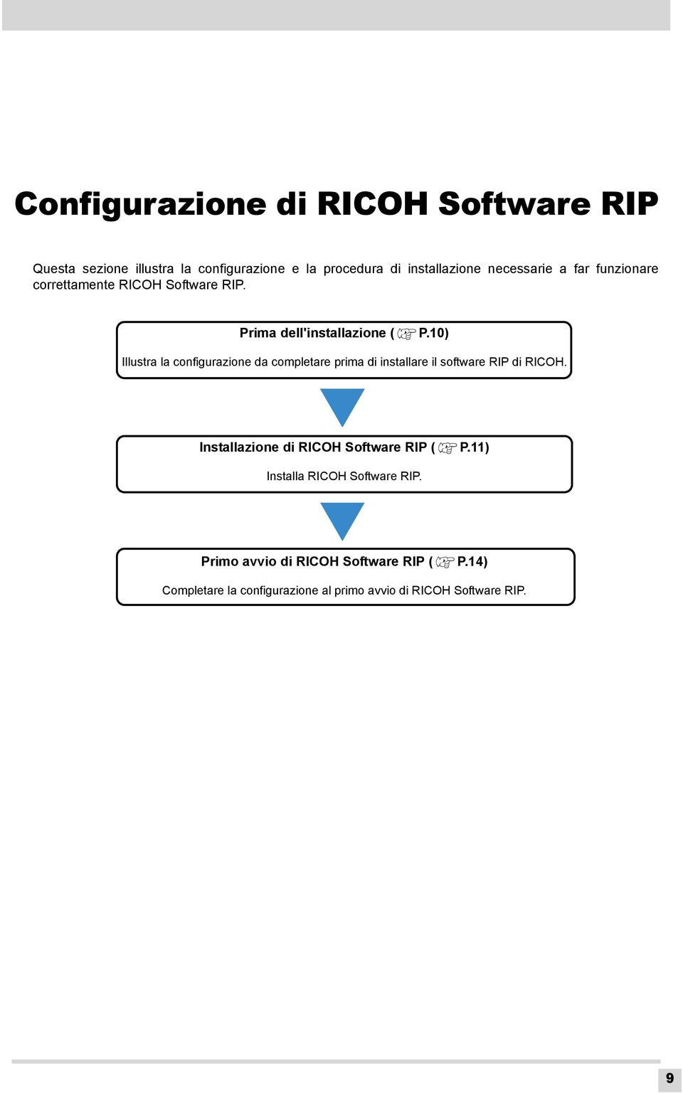 10) Illustra la configurazione da completare prima di installare il software RIP di RICOH.