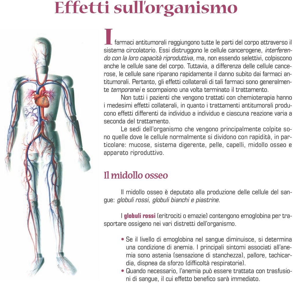 Tuttavia, a differenza delle cellule cancerose, le cellule sane riparano rapidamente il danno subito dai farmaci antitumorali.