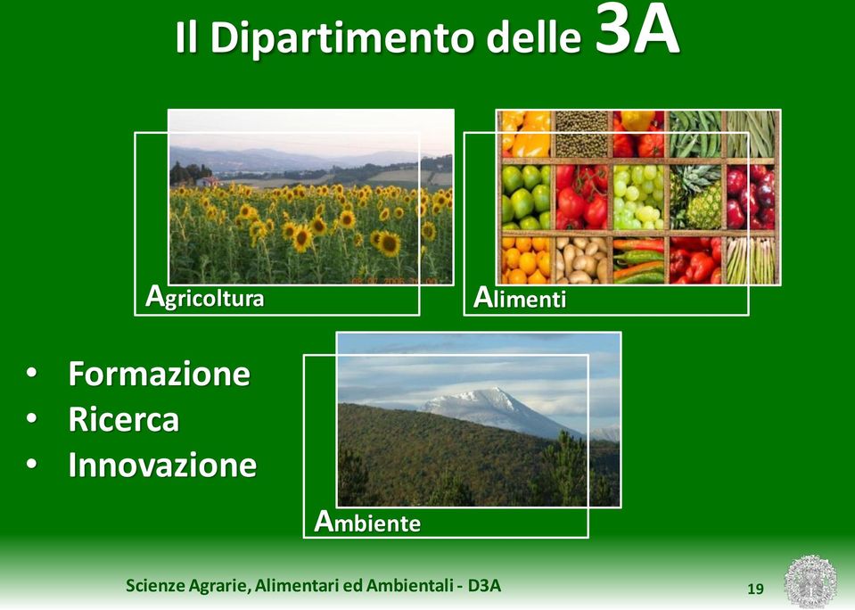 Alimenti Formazione