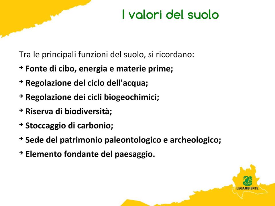 Regolazione dei cicli biogeochimici; Riserva di biodiversità; Stoccaggio di