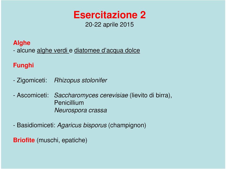 Saccharomyces cerevisiae (lievito di birra), Penicillium Neurospora