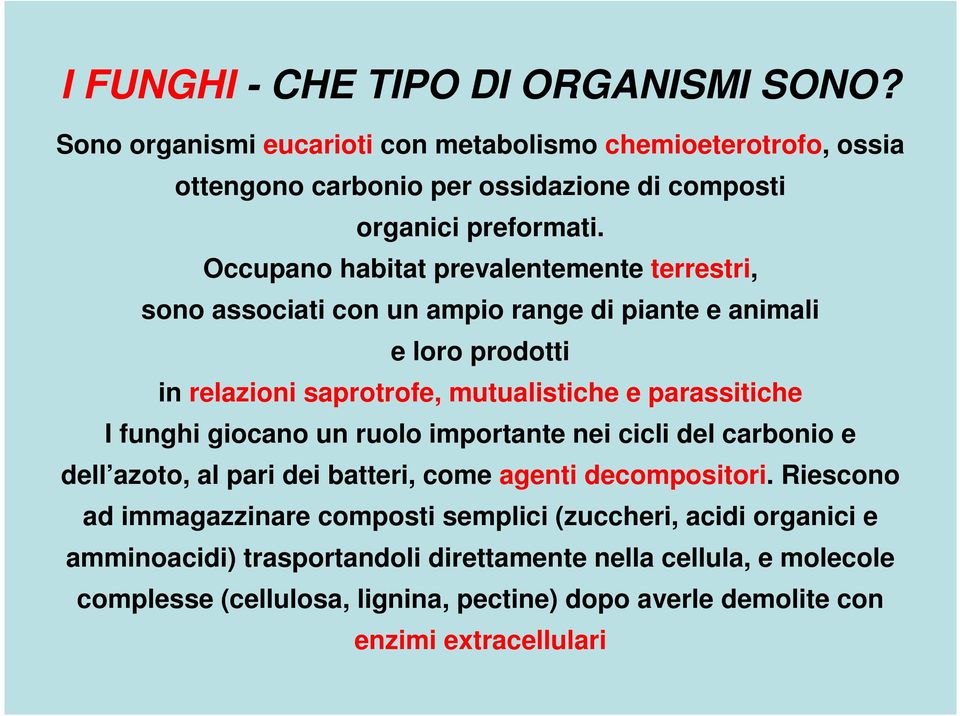 funghi giocano un ruolo importante nei cicli del carbonio e dell azoto, al pari dei batteri, come agenti decompositori.