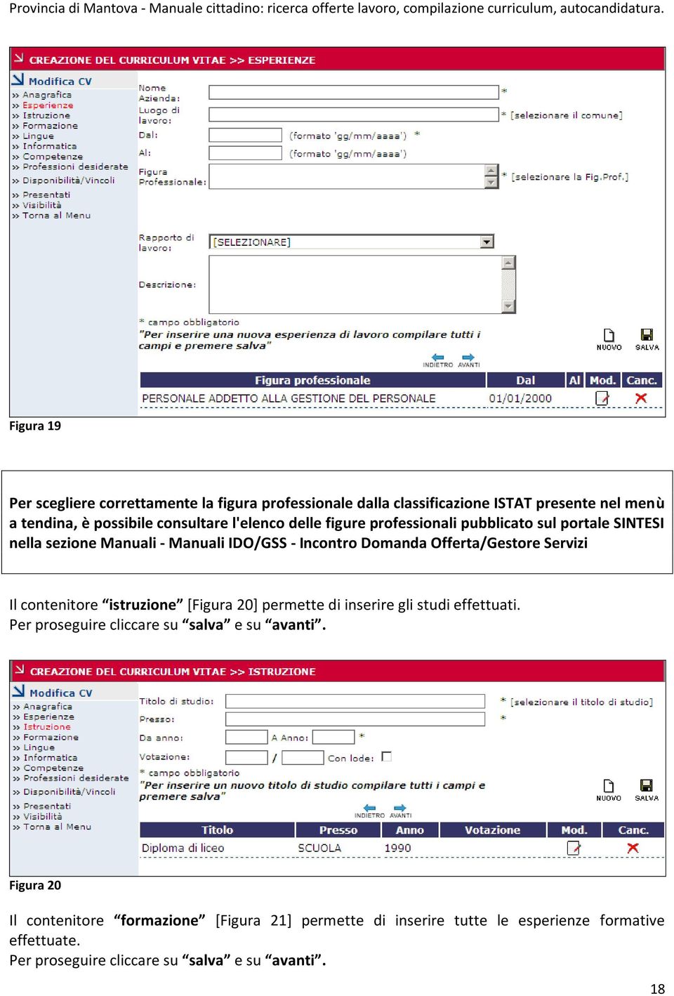 Servizi Il contenitore istruzione [Figura 20] permette di inserire gli studi effettuati. Per proseguire cliccare su salva e su avanti.