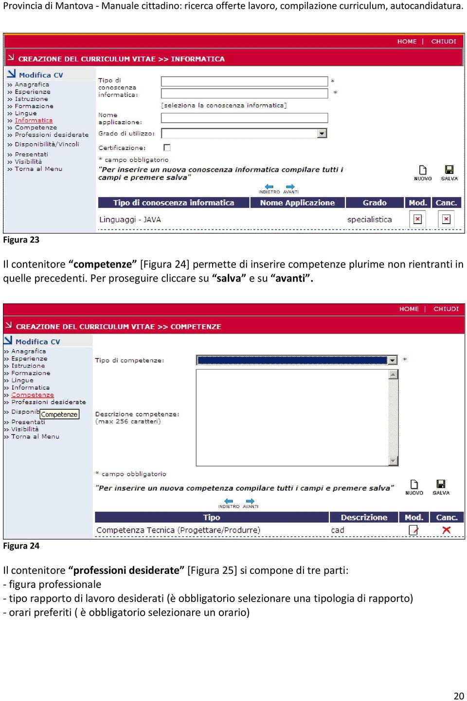 Figura 24 Il contenitore professioni desiderate [Figura 25] si compone di tre parti: - figura professionale