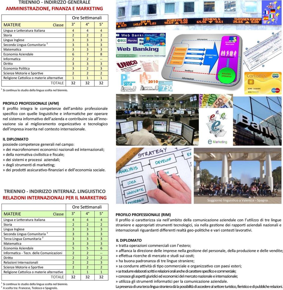 -- Diritto 3 3 3 Economia Politica 3 2 3 Scienze Motorie e Sportive 2 2 2 Religione Cattolica o materie alternative 1 1 1 TOTALE 32 32 32 PROFILO PROFESSIONALE (AFM) Il profilo integra le competenze