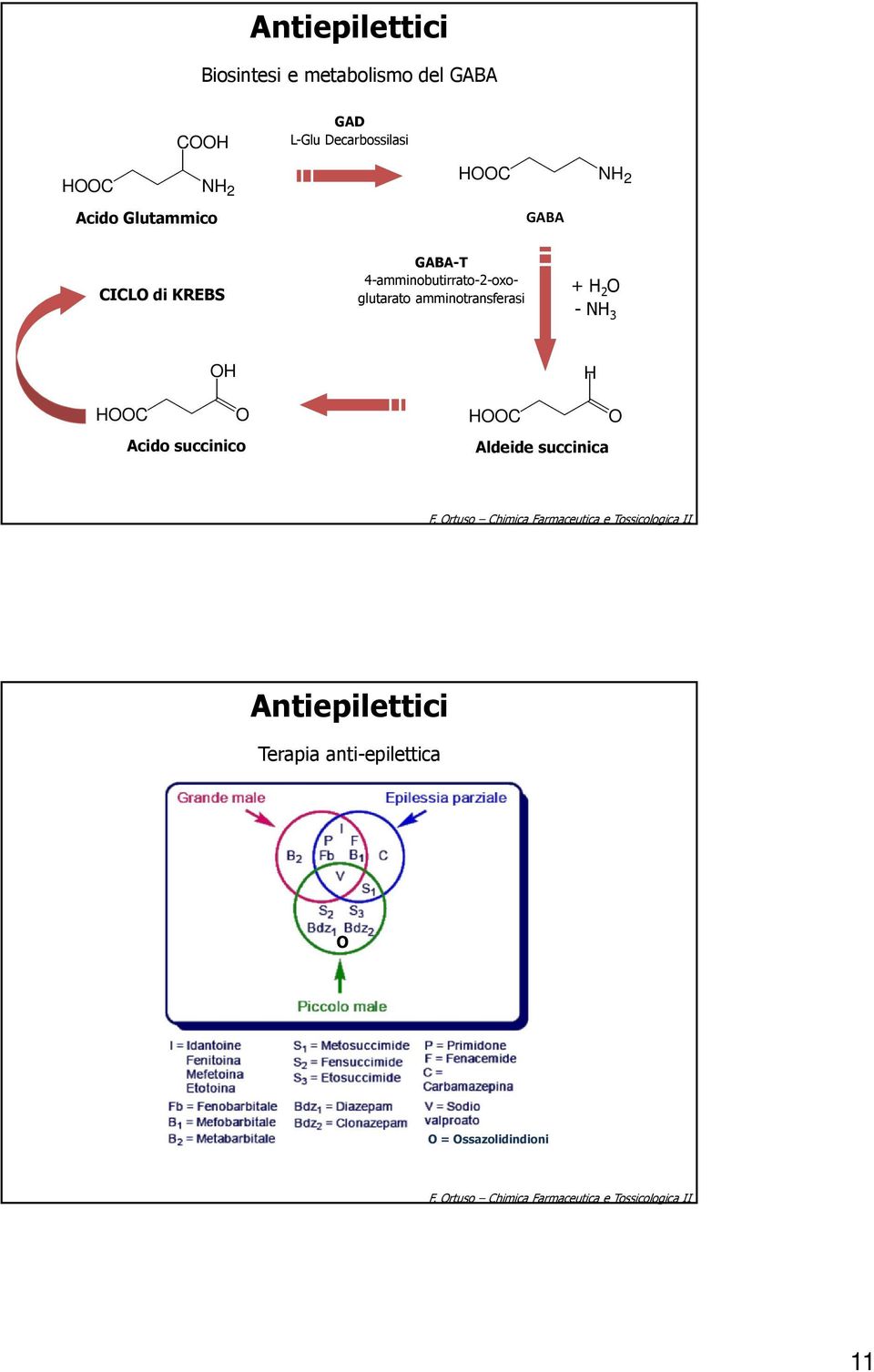 Acido succinico C Aldeide succinica F.