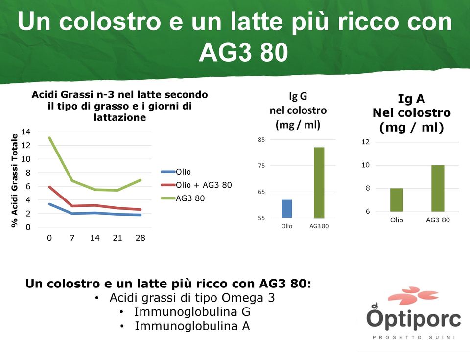 giorni di lattazione 0 7 14 21 28 Olio Olio + Un colostro e un latte