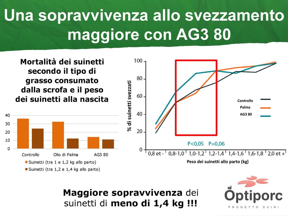 Palma 30 20 10 0 Controllo Olio di Palma Suinetti (tra 1 e 1,2 kg allo parto) Suinetti (tra 1,2 e