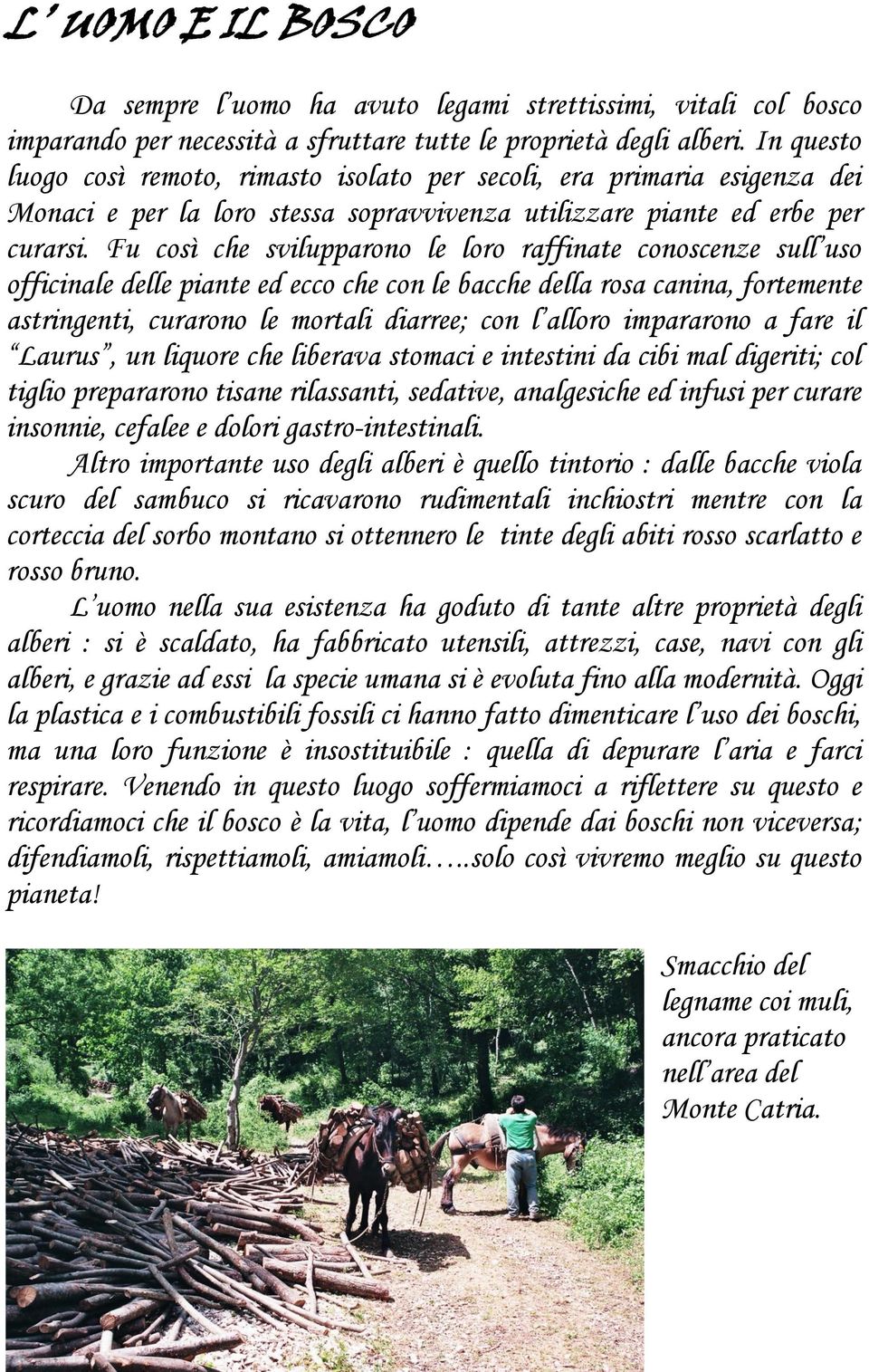 Fu così che svilupparono le loro raffinate conoscenze sull uso officinale delle piante ed ecco che con le bacche della rosa canina, fortemente astringenti, curarono le mortali diarree; con l alloro