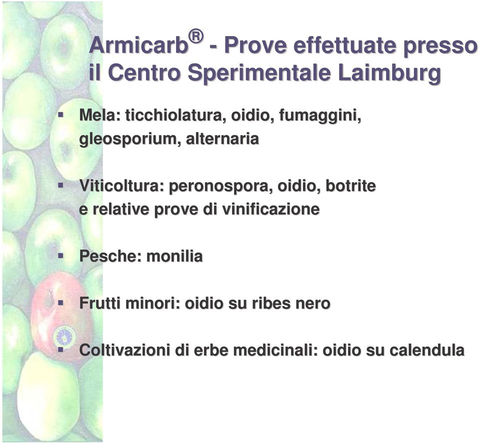 peronospora, oidio, botrite e relative prove di vinificazione Pesche: