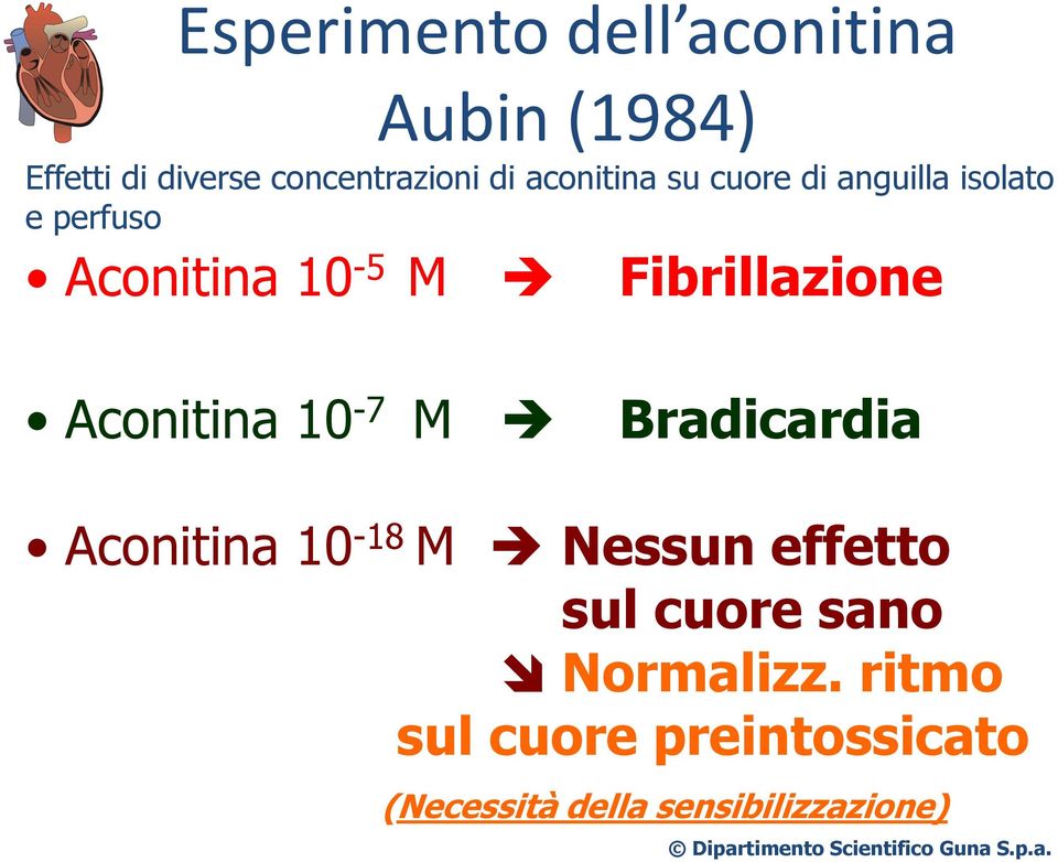 Fibrillazione Aconitina 10-7 M Bradicardia Aconitina 10-18 M Nessun effetto