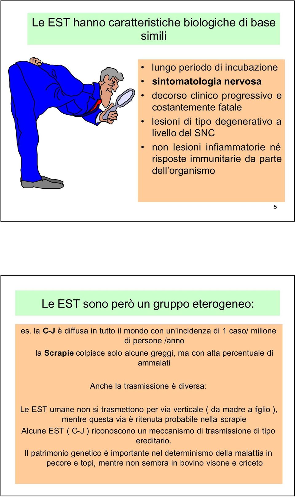 la C-J è diffusa in tutto il mondo con un incidenza di 1 caso/ milione di persone /anno la Scrapie colpisce solo alcune greggi, ma con alta percentuale di ammalati Anche la trasmissione è diversa: Le