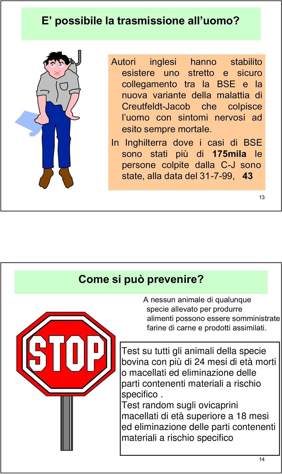 mortale. In Inghilterra dove i casi di BSE sono stati più di 175mila le persone colpite dalla C-J sono state, alla data del 31-7-99, 43 13 Come si può prevenire?