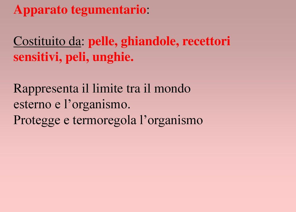 Rappresenta il limite tra il mondo esterno e