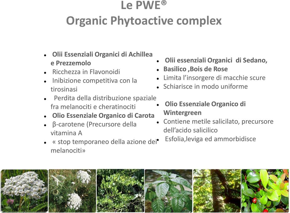 distribuzione spaziale fra melanociti e cheratinociti Olio Essenziale Organico di Olio Essenziale Organico di Carota Wintergreen β-carotene