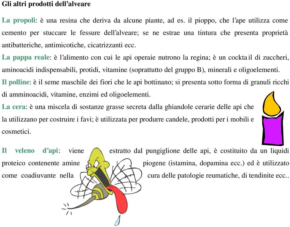 La pappa reale: è l alimento con cui le api operaie nutrono la regina; è un cockta il di zuccheri, aminoacidi indispensabili, protidi, vitamine (soprattutto del gruppo B), minerali e oligoelementi.