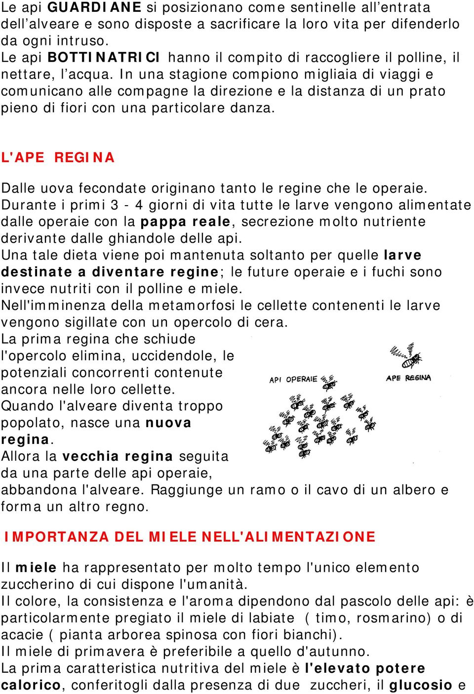 In una stagione compiono migliaia di viaggi e comunicano alle compagne la direzione e la distanza di un prato pieno di fiori con una particolare danza.