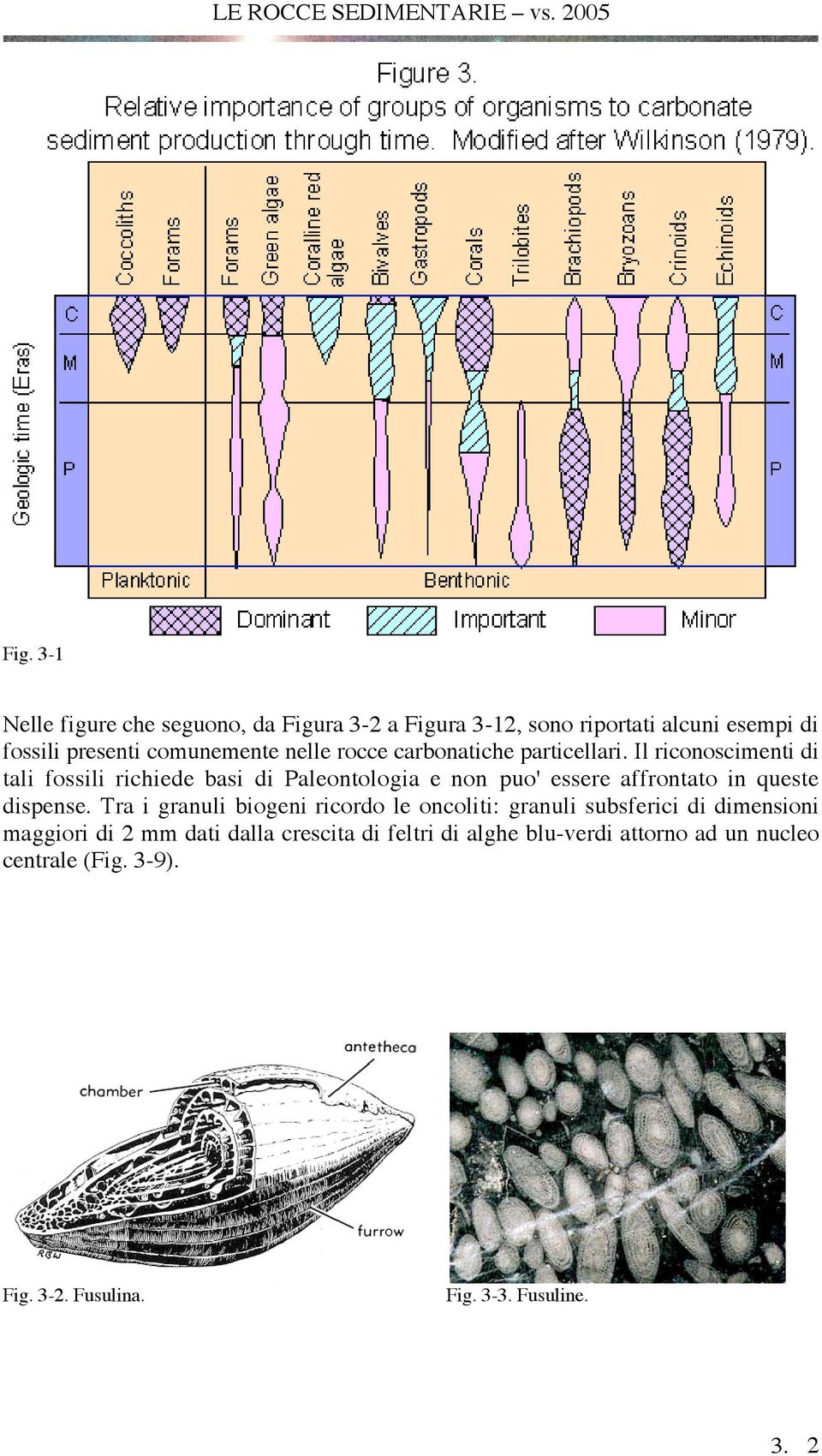 Il riconoscimenti di tali fossili richiede basi di Paleontologia e non puo' essere affrontato in queste dispense.