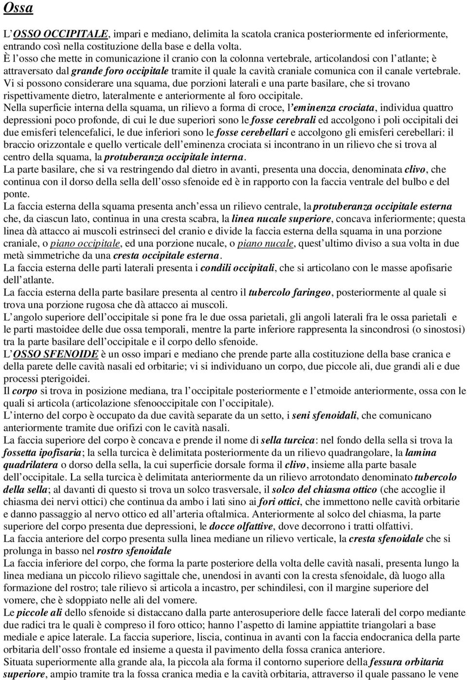 canale vertebrale. Vi si possono considerare una squama, due porzioni laterali e una parte basilare, che si trovano rispettivamente dietro, lateralmente e anteriormente al foro occipitale.