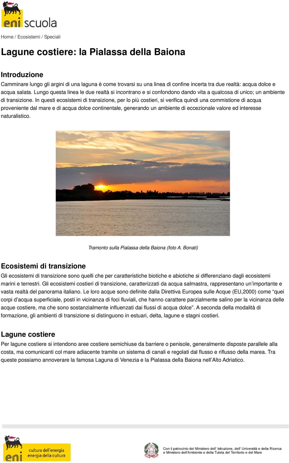 In questi ecosistemi di transizione, per lo più costieri, si verifica quindi una commistione di acqua proveniente dal mare e di acqua dolce continentale, generando un ambiente di eccezionale valore