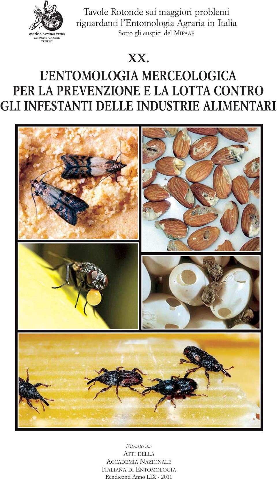 L ENTOMOLOGIA MERCEOLOGICA PER LA PREVENZIONE E LA LOTTA CONTRO GLI INFESTANTI