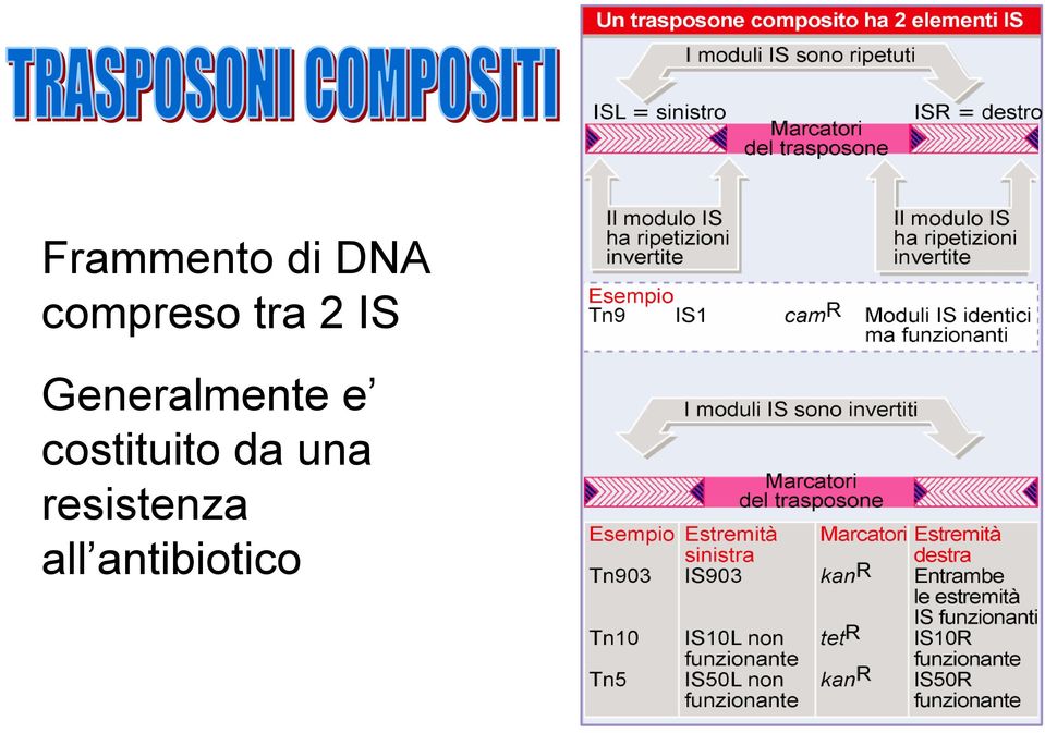 Generalmente e