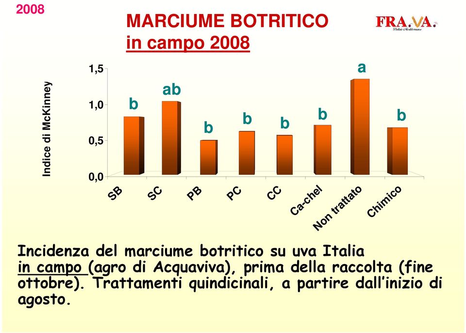 otritico su uva Italia in campo (agro di Acquaviva), prima della