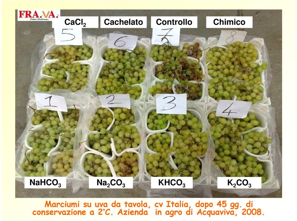 tavola, cv Italia, dopo 45 gg.