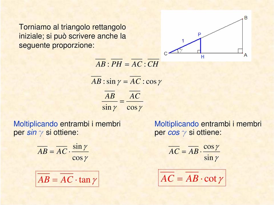 Moltiplicando entrambi i membri per sin g si ottiene: AB = AC sin γ cosγ AB = AC