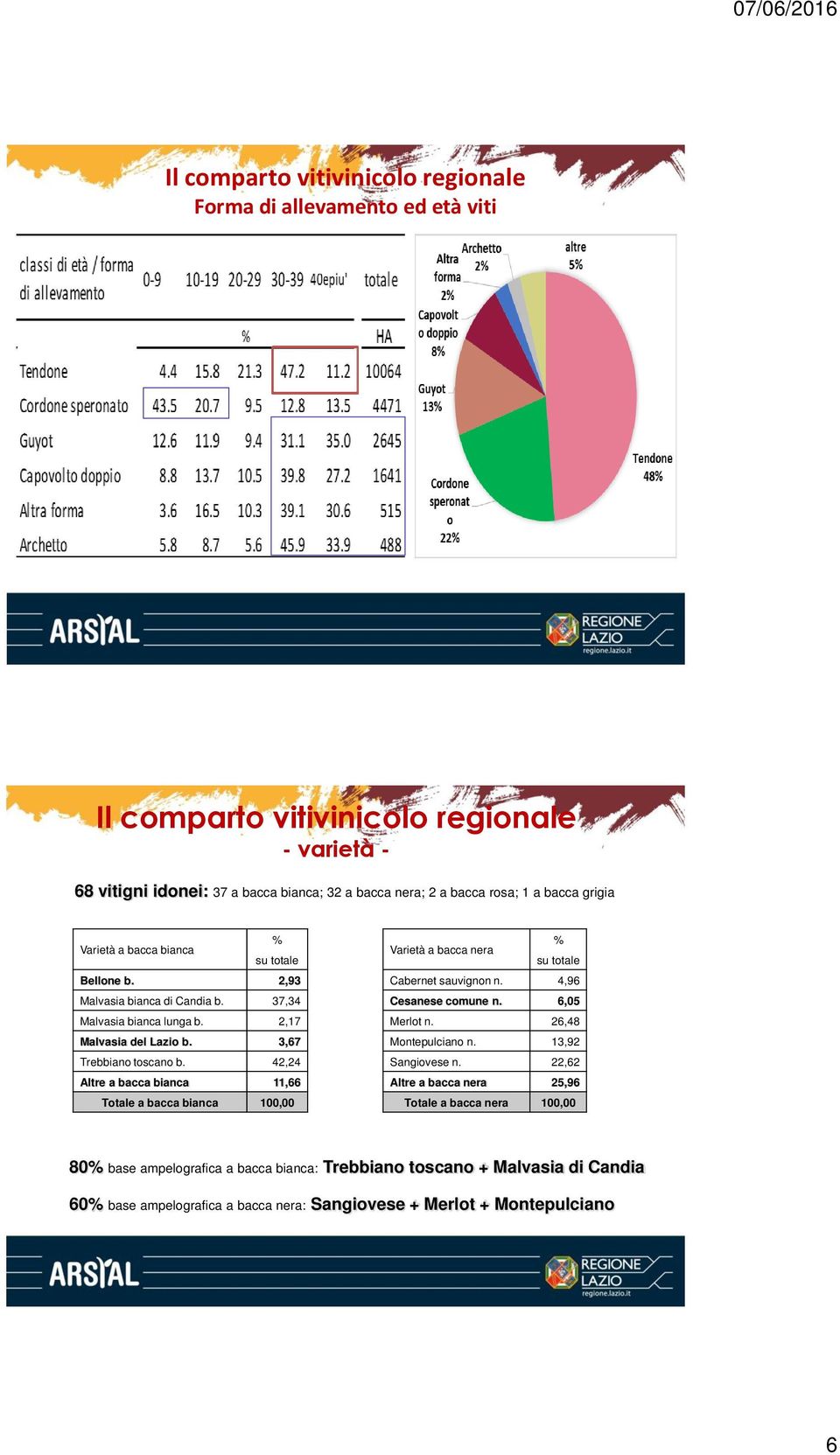 42,24 Altre a bacca bianca 11,66 Totale a bacca bianca 100,00 % Varietà a bacca nera su totale Cabernet sauvignon n. 4,96 Cesanese comune n. 6,05 Merlot n.