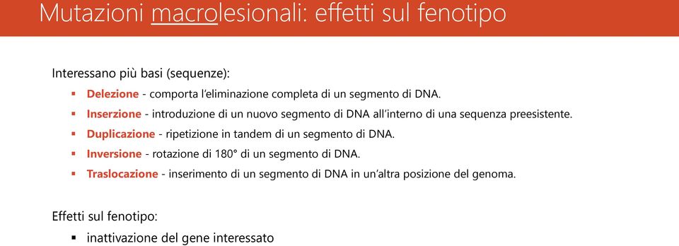 Duplicazione - ripetizione in tandem di un segmento di DNA. Inversione - rotazione di 180 di un segmento di DNA.