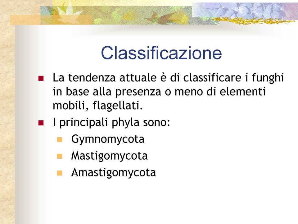 meno di elementi mobili, flagellati.