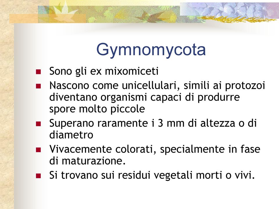 Superano raramente i 3 mm di altezza o di diametro Vivacemente colorati,