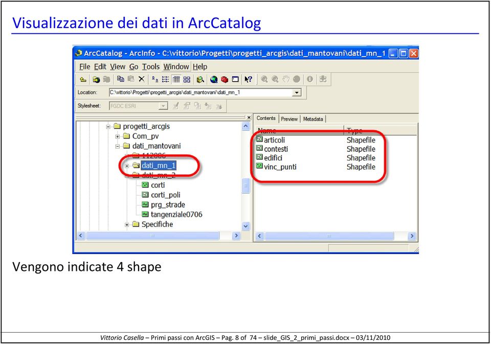 Casella Primi passi con ArcGIS Pag.