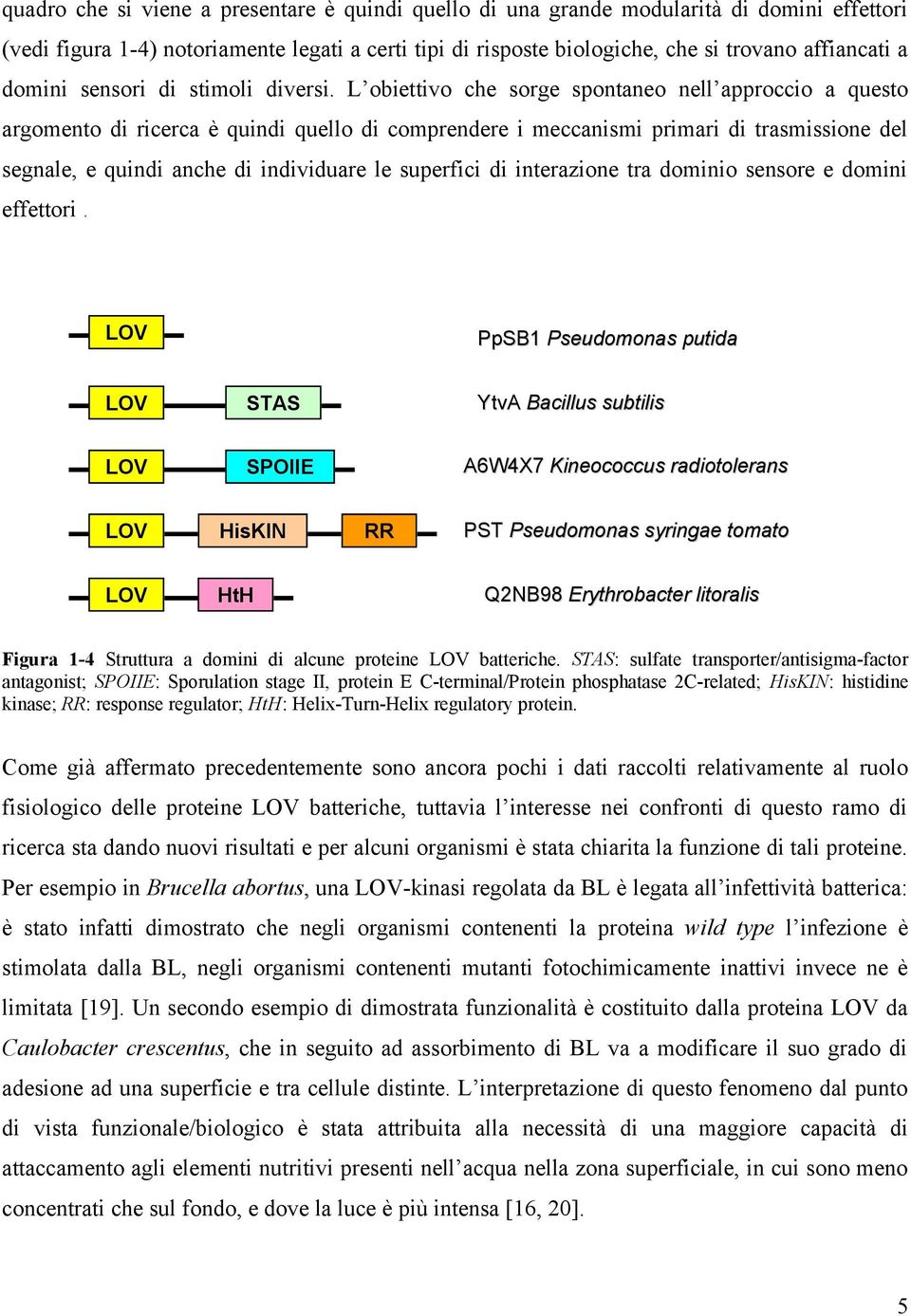 L obiettivo che sorge spontaneo nell approccio a questo argomento di ricerca è quindi quello di comprendere i meccanismi primari di trasmissione del segnale, e quindi anche di individuare le