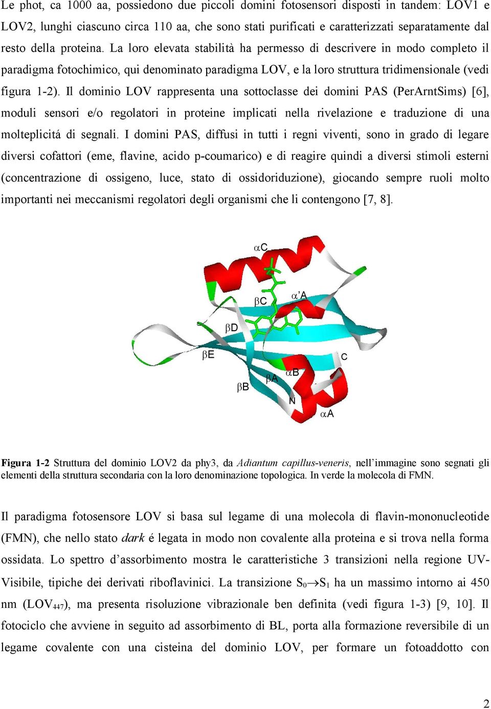 Il dominio LOV rappresenta una sottoclasse dei domini PAS (PerArntSims) [6], moduli sensori e/o regolatori in proteine implicati nella rivelazione e traduzione di una molteplicitá di segnali.