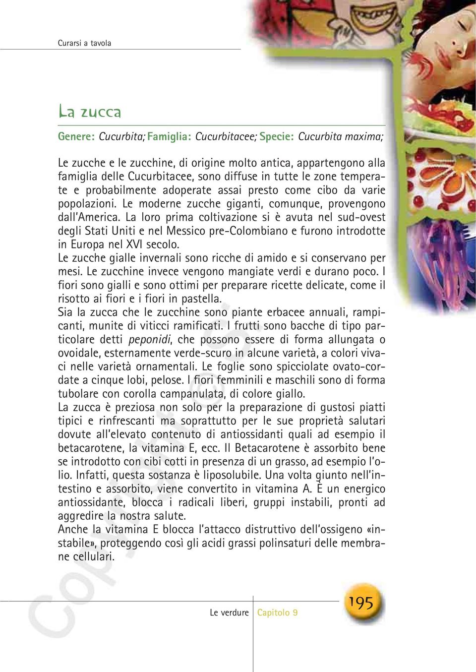 La loro prima coltivazione si è avuta nel sud-ovest degli Stati Uniti e nel Messico pre-colombiano e furono introdotte in Europa nel XVI secolo.