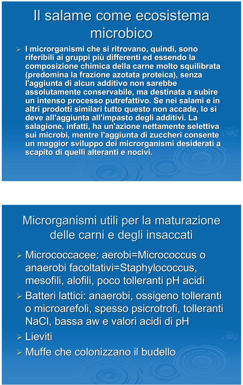 . Se nei salami e in altri prodotti similari tutto questo non accade, lo si deve all'aggiunta all'impasto degli additivi.