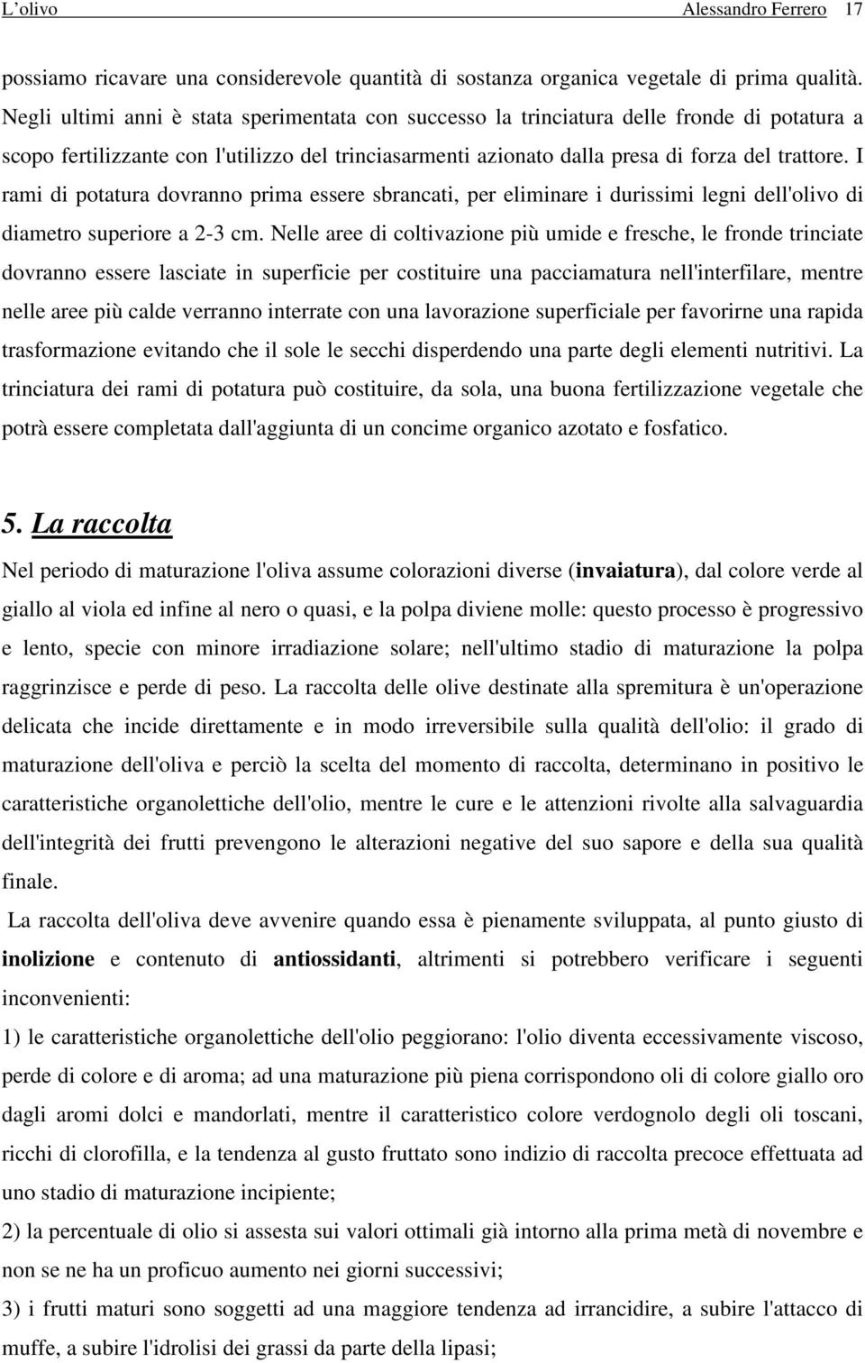 I rami di potatura dovranno prima essere sbrancati, per eliminare i durissimi legni dell'olivo di diametro superiore a 2-3 cm.