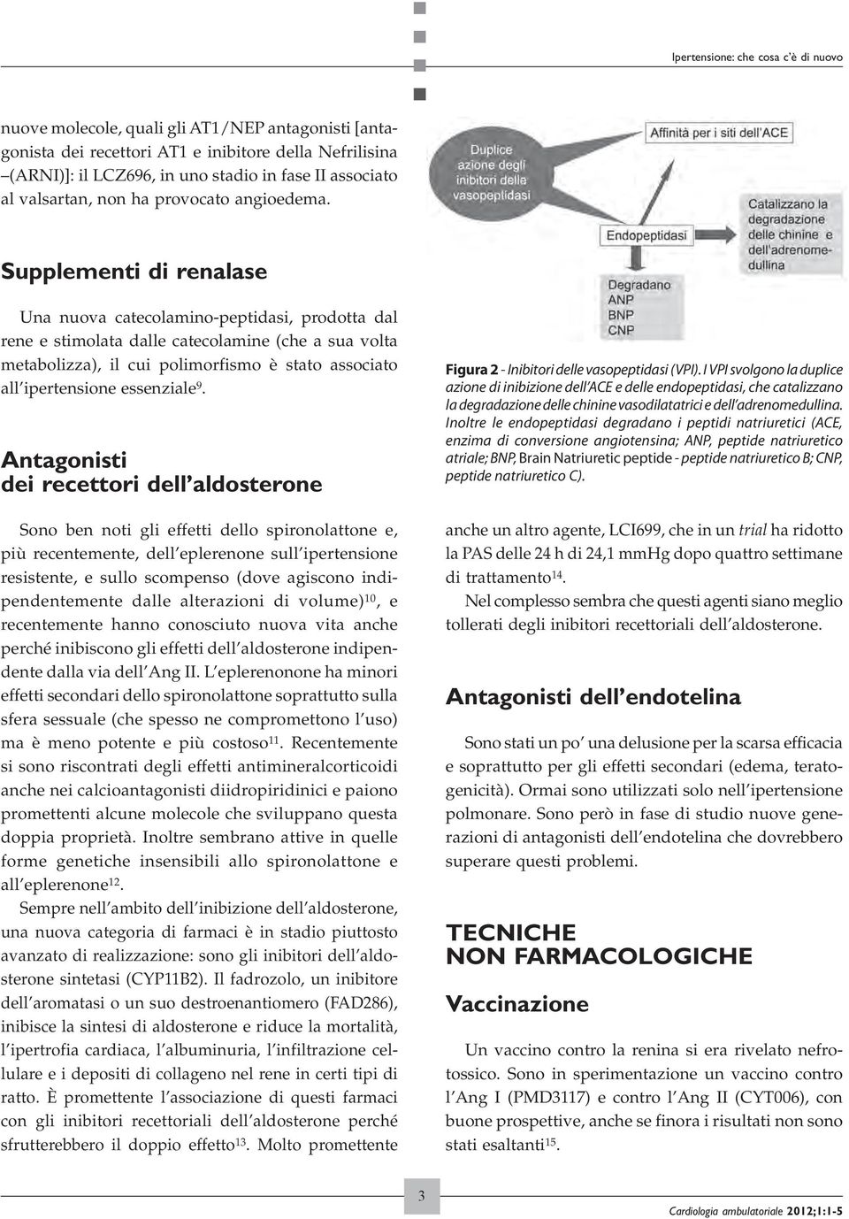 Supplementi di renalase Una nuova catecolamino-peptidasi, prodotta dal rene e stimolata dalle catecolamine (che a sua volta metabolizza), il cui polimorfismo è stato associato all ipertensione