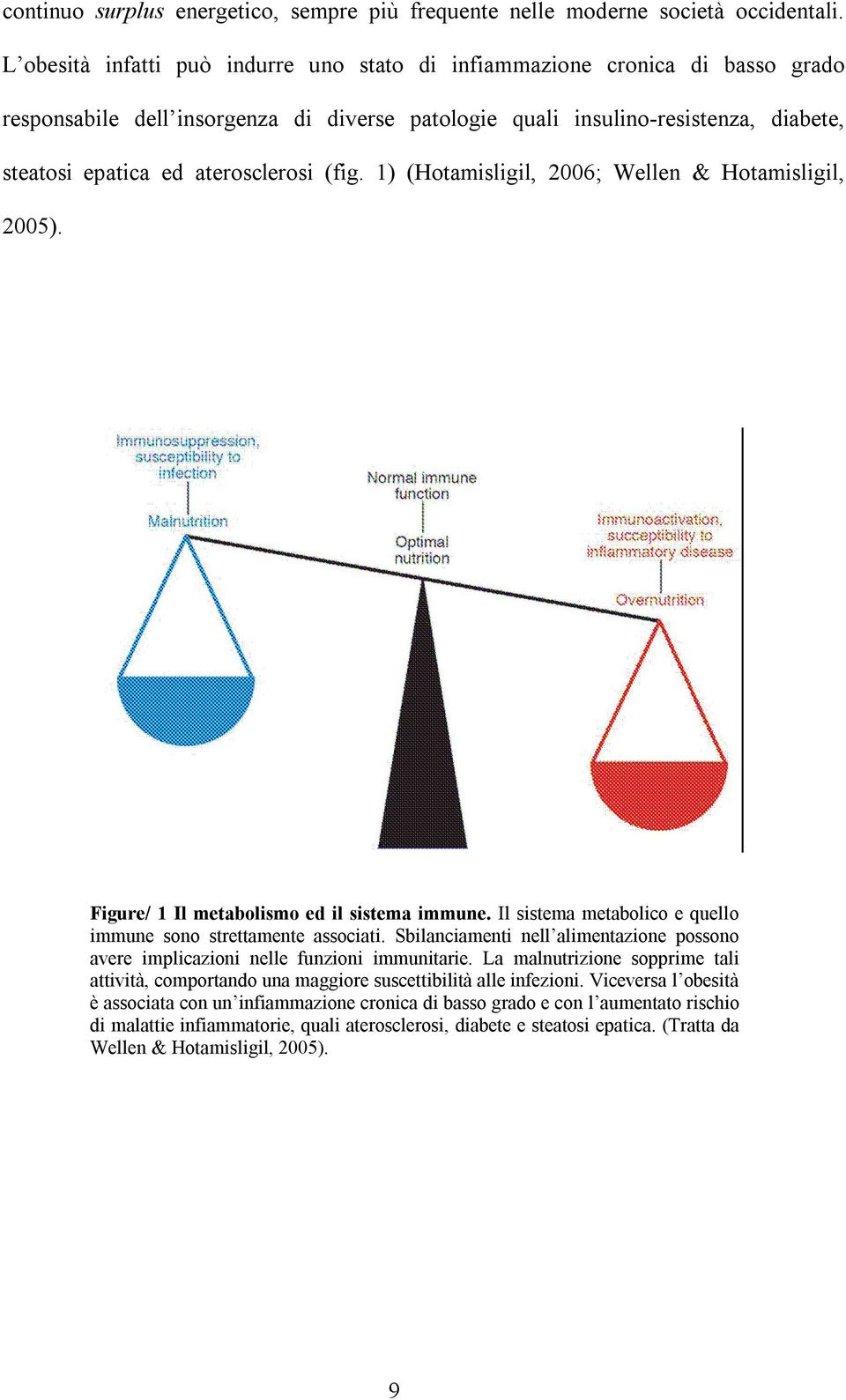 (fig. 1) (Hotamisligil, 2006; Wellen & Hotamisligil, 2005). Figure/ 1 Il metabolismo ed il sistema immune. Il sistema metabolico e quello immune sono strettamente associati.